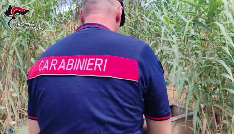 Reggio Calabria, roghi di rifiuti e discariche abusive: Denunciati 14 soggetti
