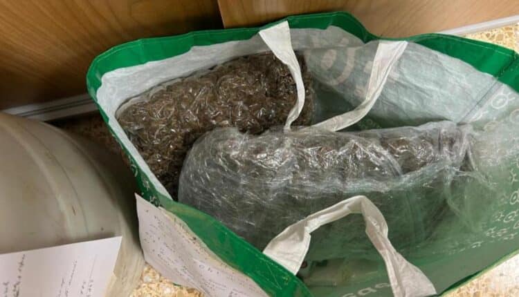 Scoperta a Racale una stanza segreta con 78 kg di droga: 3 arresti