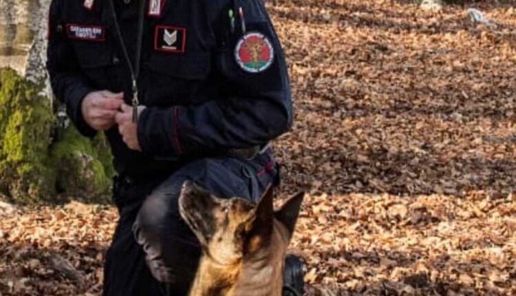 Rieti, esca sospetta a Porta D’Arce: interviene l’Unità Cinofila Antiveleno