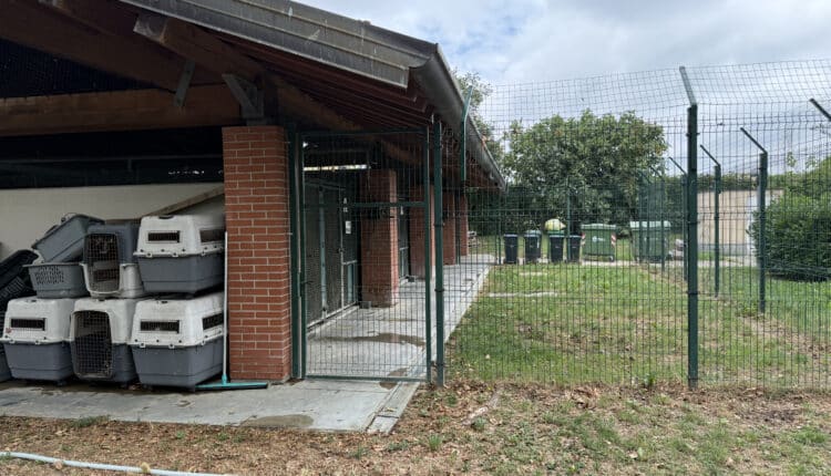 Sopralluogo consiglieri Lega al Canile Sanitario di Milano: “Tutelare gli animali da chi non sa gestirli”