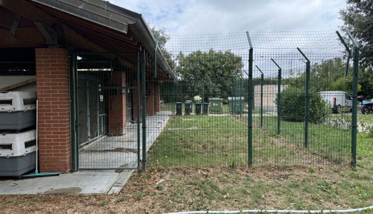 Sopralluogo consiglieri Lega al Canile Sanitario di Milano: “Tutelare gli animali da chi non sa gestirli”