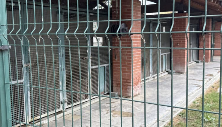 Sopralluogo consiglieri Lega al Canile Sanitario di Milano: “Tutelare gli animali da chi non sa gestirli”