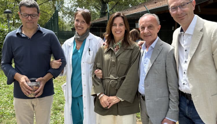 Sopralluogo consiglieri Lega al Canile Sanitario di Milano: “Tutelare gli animali da chi non sa gestirli”