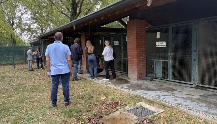 Sopralluogo consiglieri Lega al Canile Sanitario di Milano: “Tutelare gli animali da chi non sa gestirli”