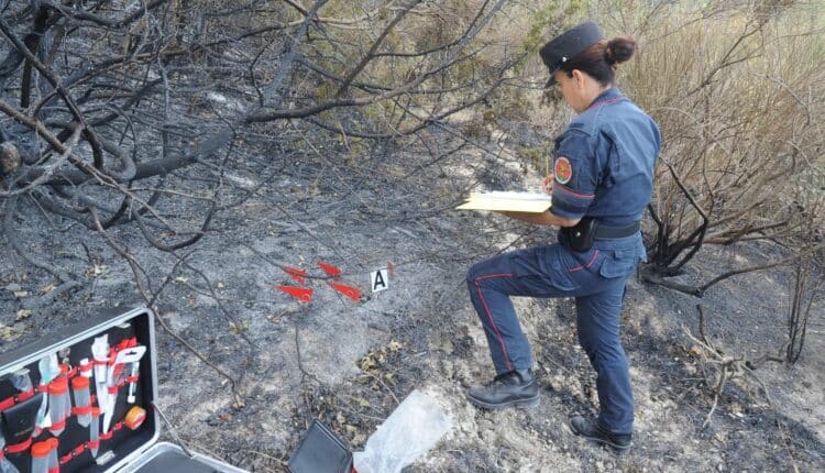 Carabinieri Forestale in azione per la campagna antincendio boschivo 2025