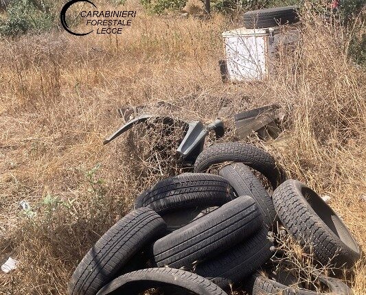 Seclì: sequestrata un'area di 3.000 mq con rifiuti speciali, denunciato il proprietario.