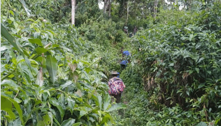 Gianluca Grimalda e Bougainville: 10 anni di ricerca antropologica ai Confini del Mondo