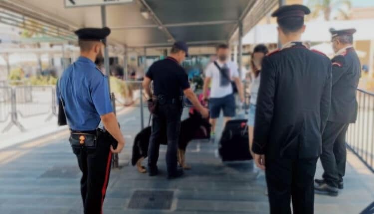 Eolie, controlli straordinari dei Carabinieri: scattano denunce, segnalazioni e sequestri