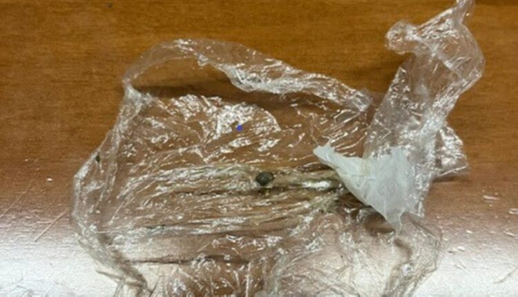 Mantova: Droga, fuga e resistenza ai Carabinieri. Due denunce per aggressione in un bar