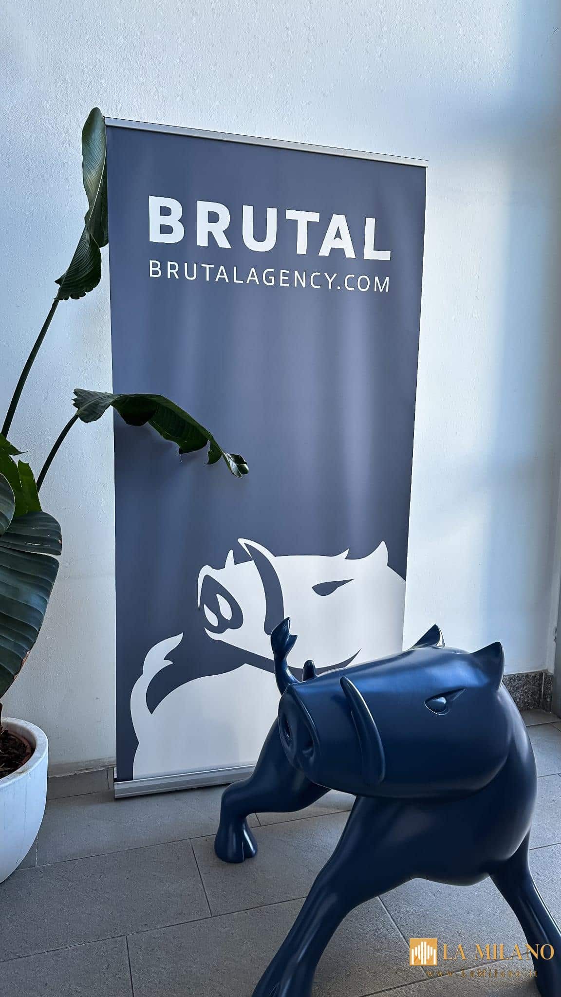 eCommerce con Brutal Agency nessuna improvvisazione