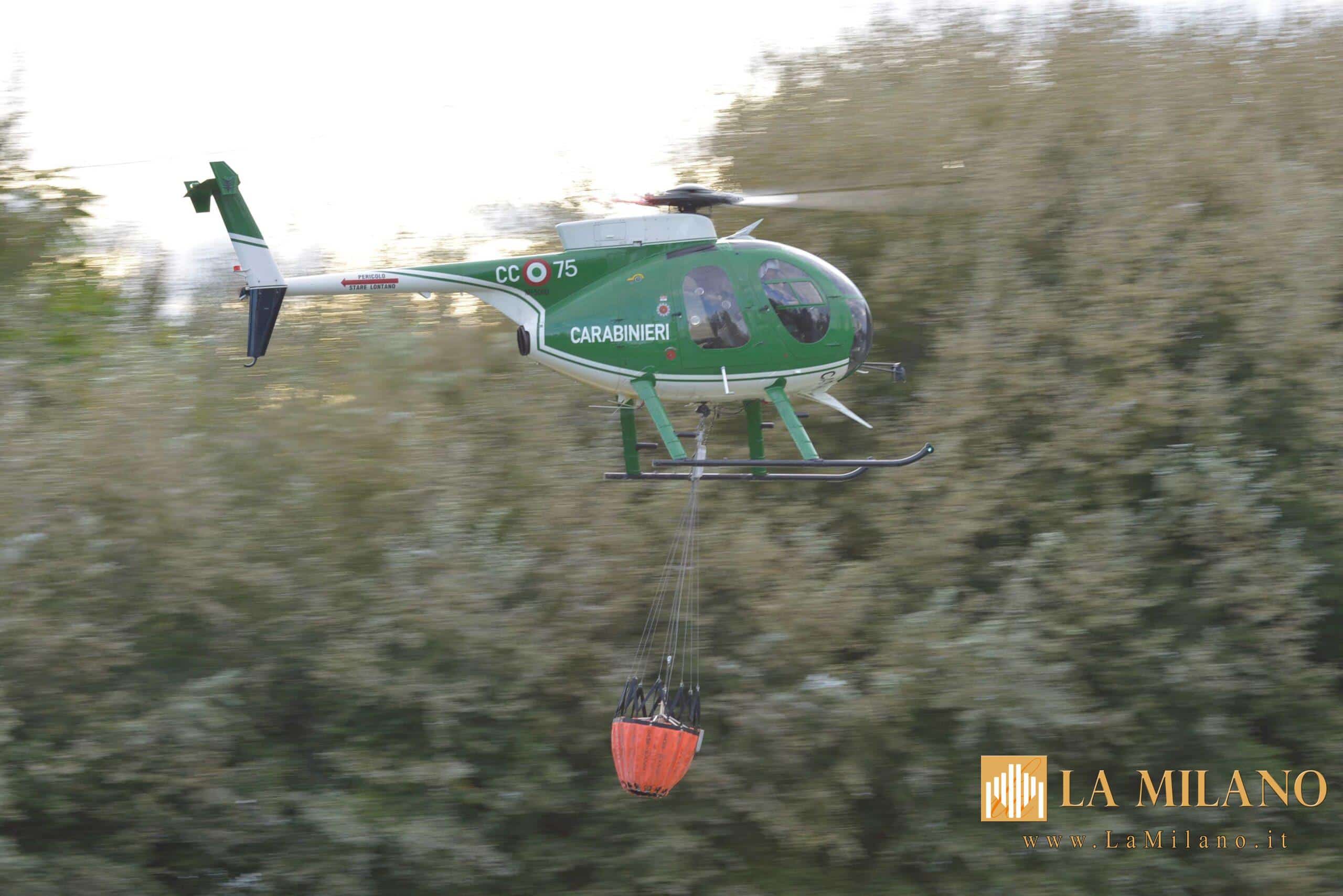 Carabinieri Forestale in azione per la campagna antincendio boschivo 2025