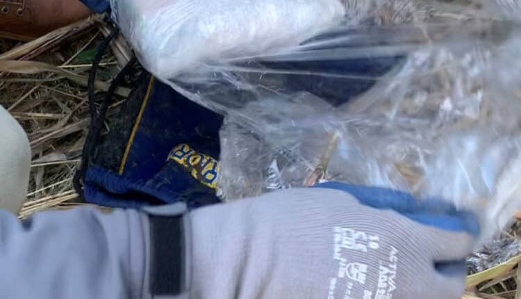 Maxi operazione antidroga a Novara, smantellato un sodalizio criminale: 5 arresti