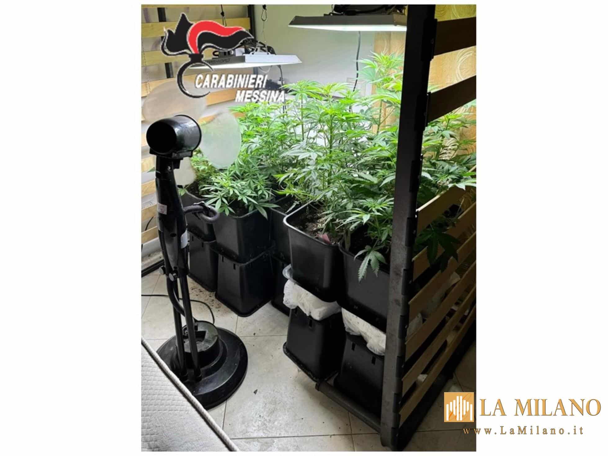 Giardini Naxos, operazione antidroga: 4 arresti e sequestri di droga e contanti