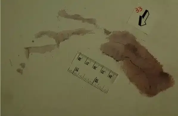 Caso Garlasco: nuova analisi sull’impronta 33 e i nodi irrisolti dell’inchiesta riaperta