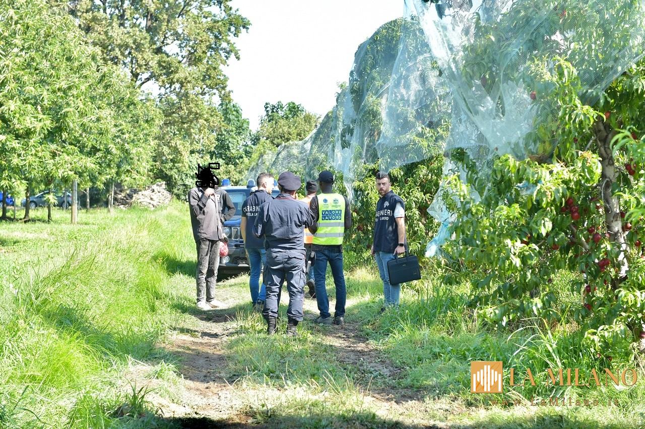 Cuneo, Carabinieri intensificano i controlli contro il caporalato nelle aziende agricole