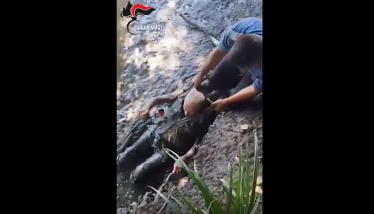 Agnone, anziano intrappolato nel fango salvato dai Carabinieri bloccato fino al torace nell’ansa di un torrente