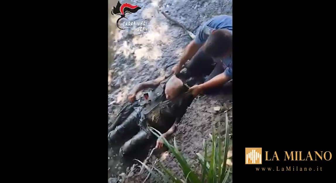 Agnone, anziano intrappolato nel fango salvato dai Carabinieri bloccato fino al torace nell’ansa di un torrente