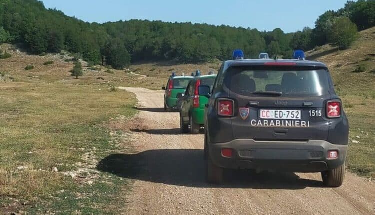 Palermo, appiccano il fuoco a cavi di rame nel bosco di Billiemi: Arrestati 2 uomini