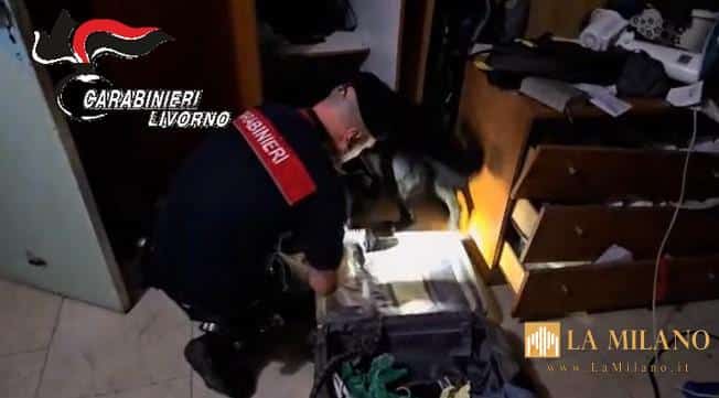 Livorno, maxi-operazione antidroga “Garibaldi”: 15 misure cautelari e 38 perquisizioni. Smantellata la piazza di spaccio di piazza Garibaldi