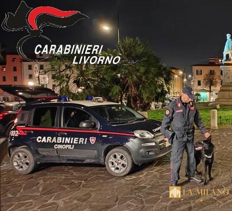 Livorno, maxi-operazione antidroga “Garibaldi”: 15 misure cautelari e 38 perquisizioni. Smantellata la piazza di spaccio di piazza Garibaldi