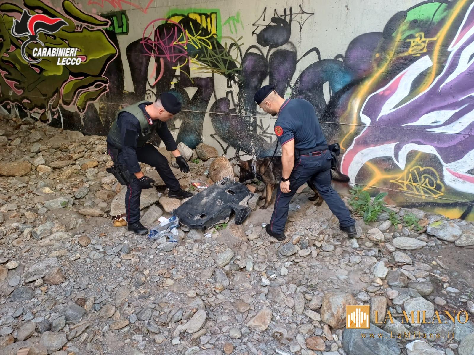 Colico, smantellate tre postazioni di spaccio nei boschi: controlli dei Carabinieri con unità cinofila