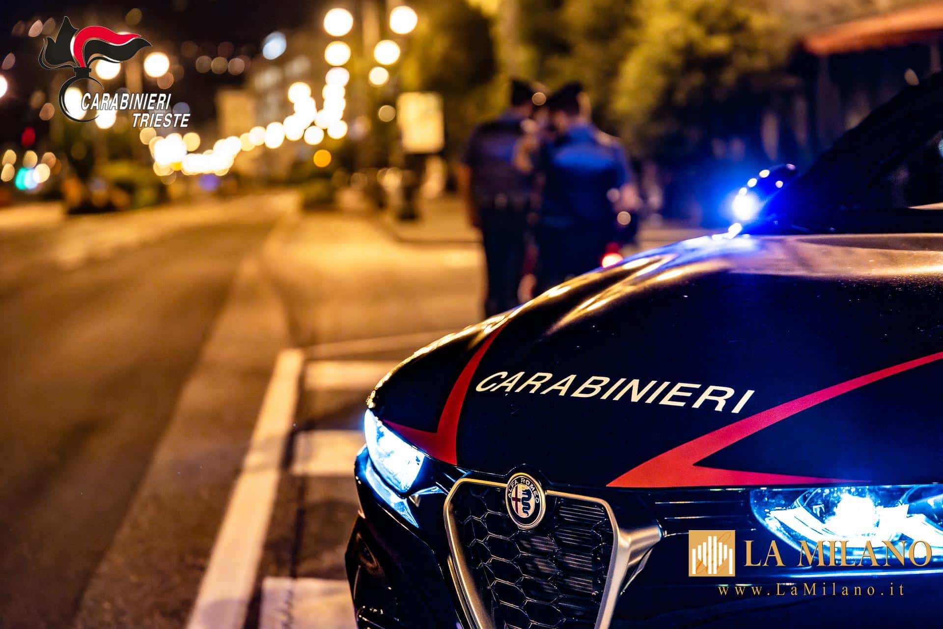 Trieste, maxi operazione dei Carabinieri: 3 arresti, denunce, sequestri e sanzioni