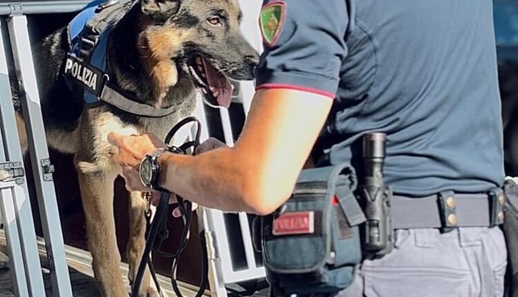 Roma, blitz antidroga: 9 arresti. Cocaina nascosta in market, scooter per food delivery e auto modificate