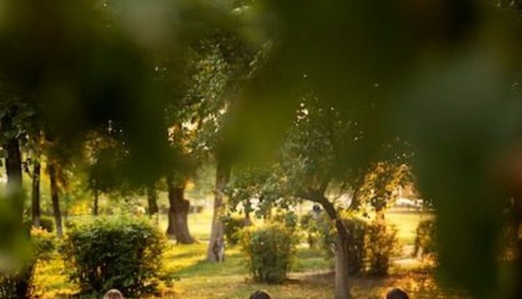 Sport nel verde: una settimana di energia, amicizia e movimento nei parchi di Trento