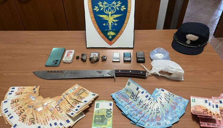 Carabinieri smantellano piazzola di spaccio nei boschi di Rapolano Terme: sequestrati droga, contanti e un machete