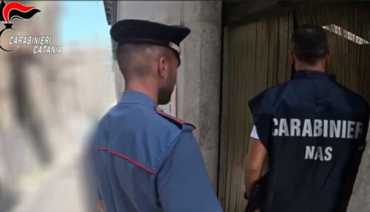 Controlli dei Carabinieri a Castiglione di Sicilia: sanzioni per irregolarità sanitarie e sul lavoro