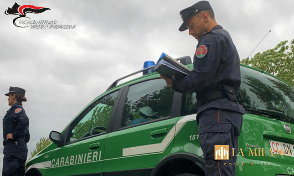 Cecina, scarico illecito di reflui domestici: 2 soggetti sanzionati