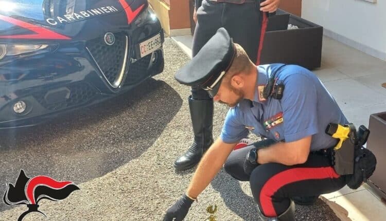 Ferrara e Codigoro: 2 episodi di violenza e omissione di soccorso in pochi giorni