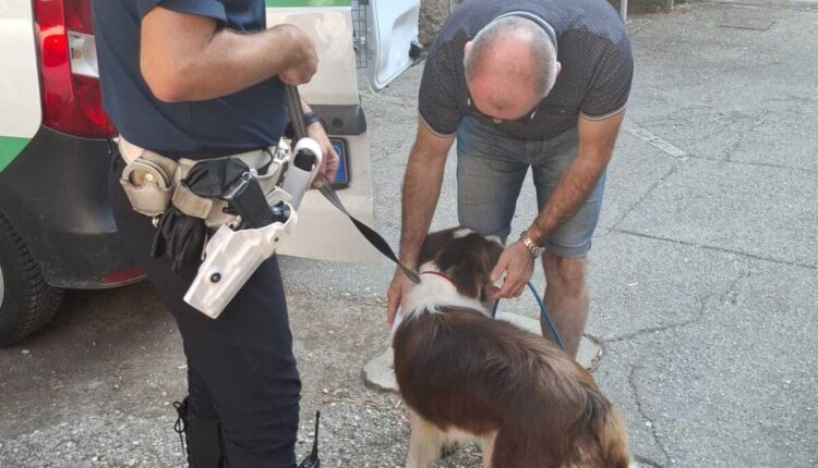 Verona, scoperta centrale di spaccio in via Faccio: 4 giovani fermati dalla Polizia locale