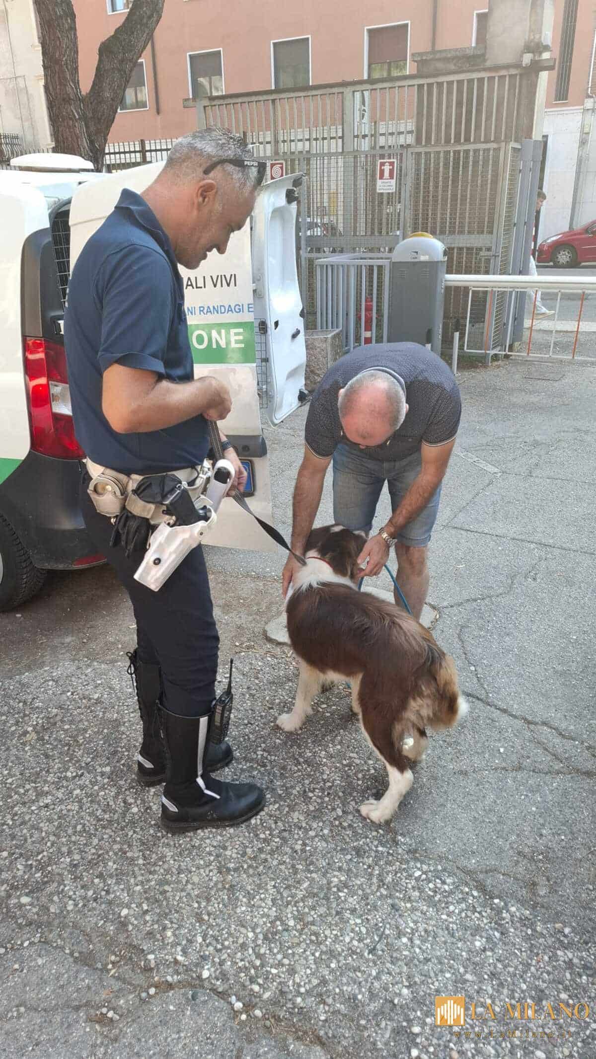 Verona, scoperta centrale di spaccio in via Faccio: 4 giovani fermati dalla Polizia locale