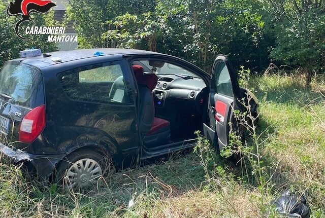 Castiglione delle Stiviere, cani tenuti in un “lager”: uno trovato morto, denunciato il proprietario