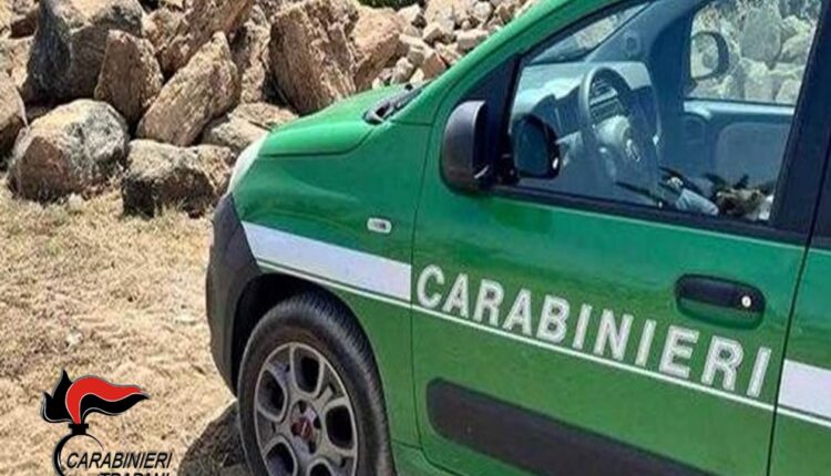 Marsala, denunciato 49enne per trasporto e gestione illecita di rifiuti