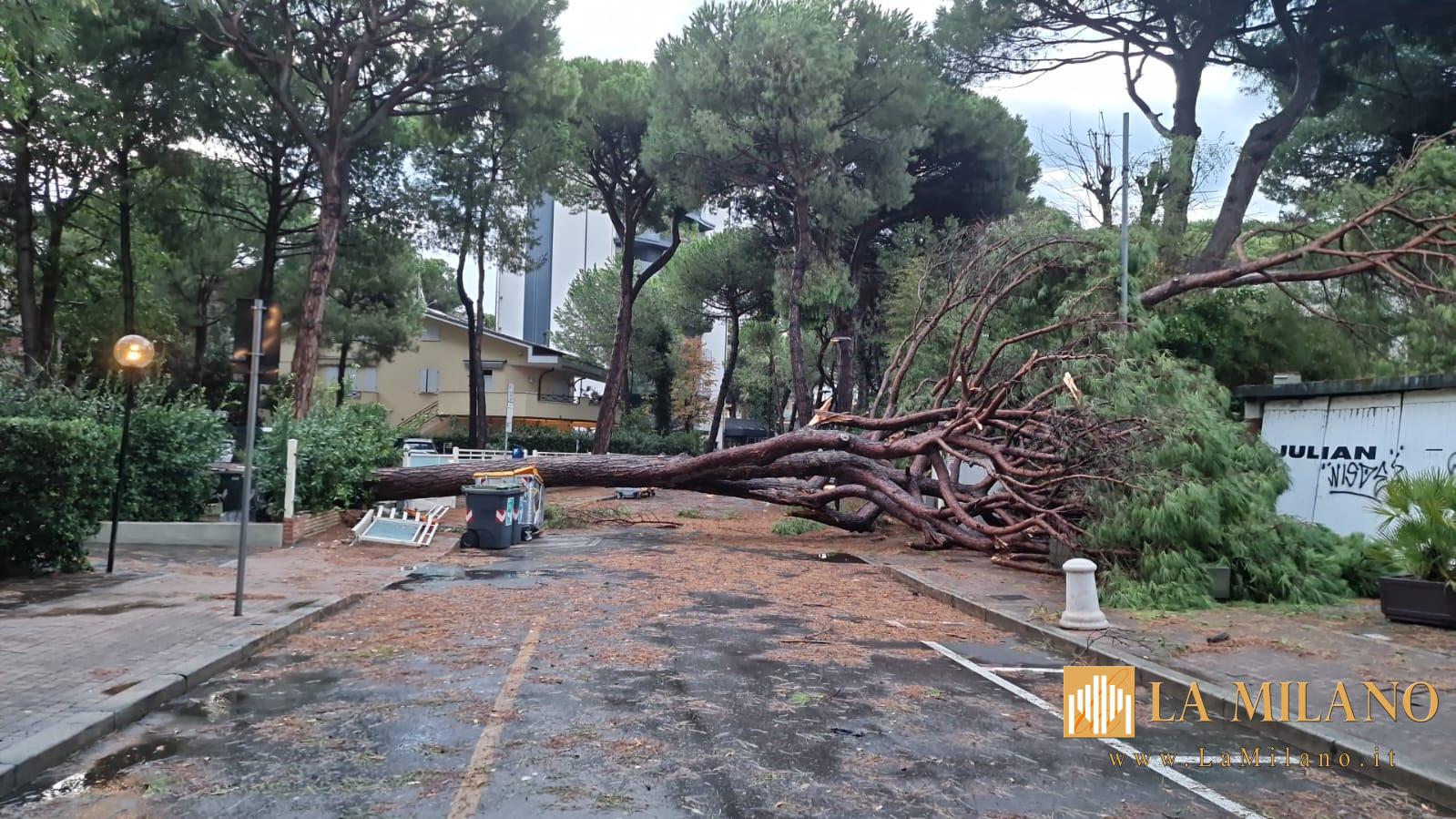 Nubifragio in Romagna, danni ingenti sulla costa: de Pascale rassicura, “Riviera pienamente operativa”