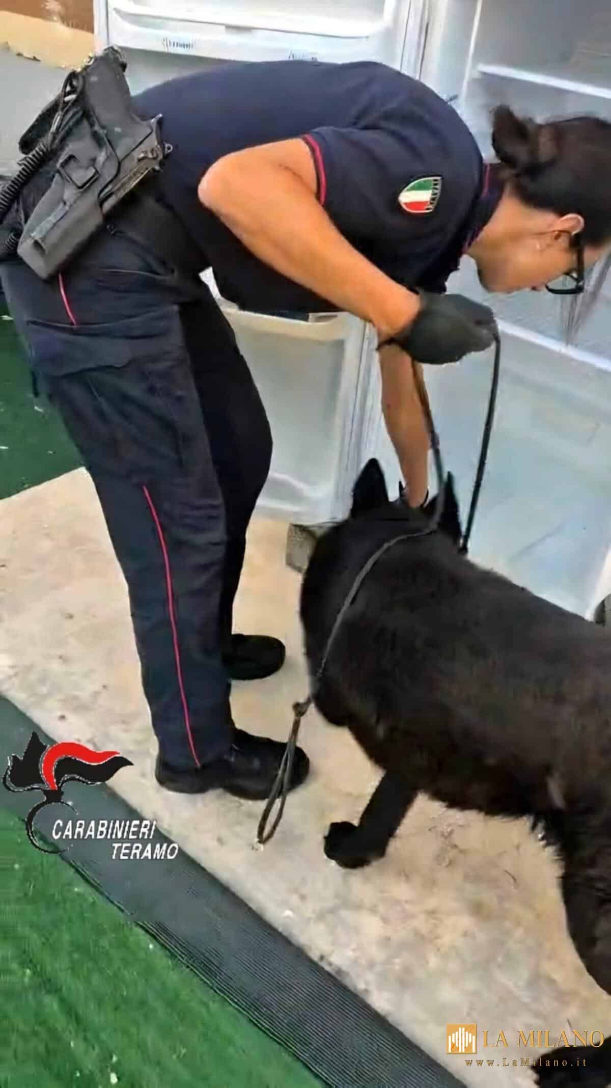 Spaccio ed estorsione: Arrestato a Civitella del Tronto un 39enne