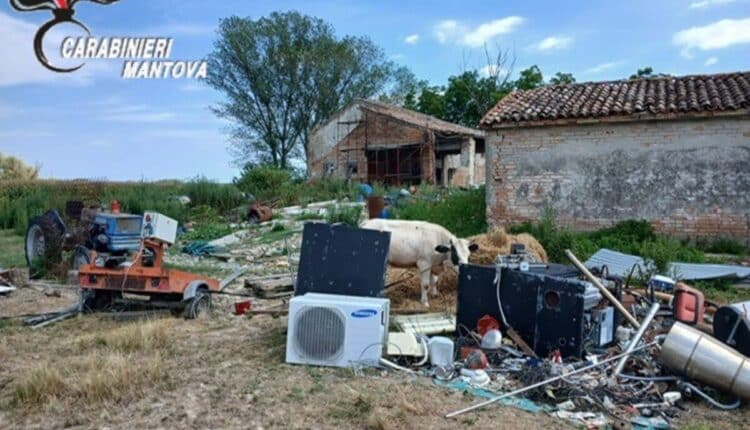 Ostiglia, deposito di rifiuti speciali e maltrattamento di un bovino: Denunciato 20enne
