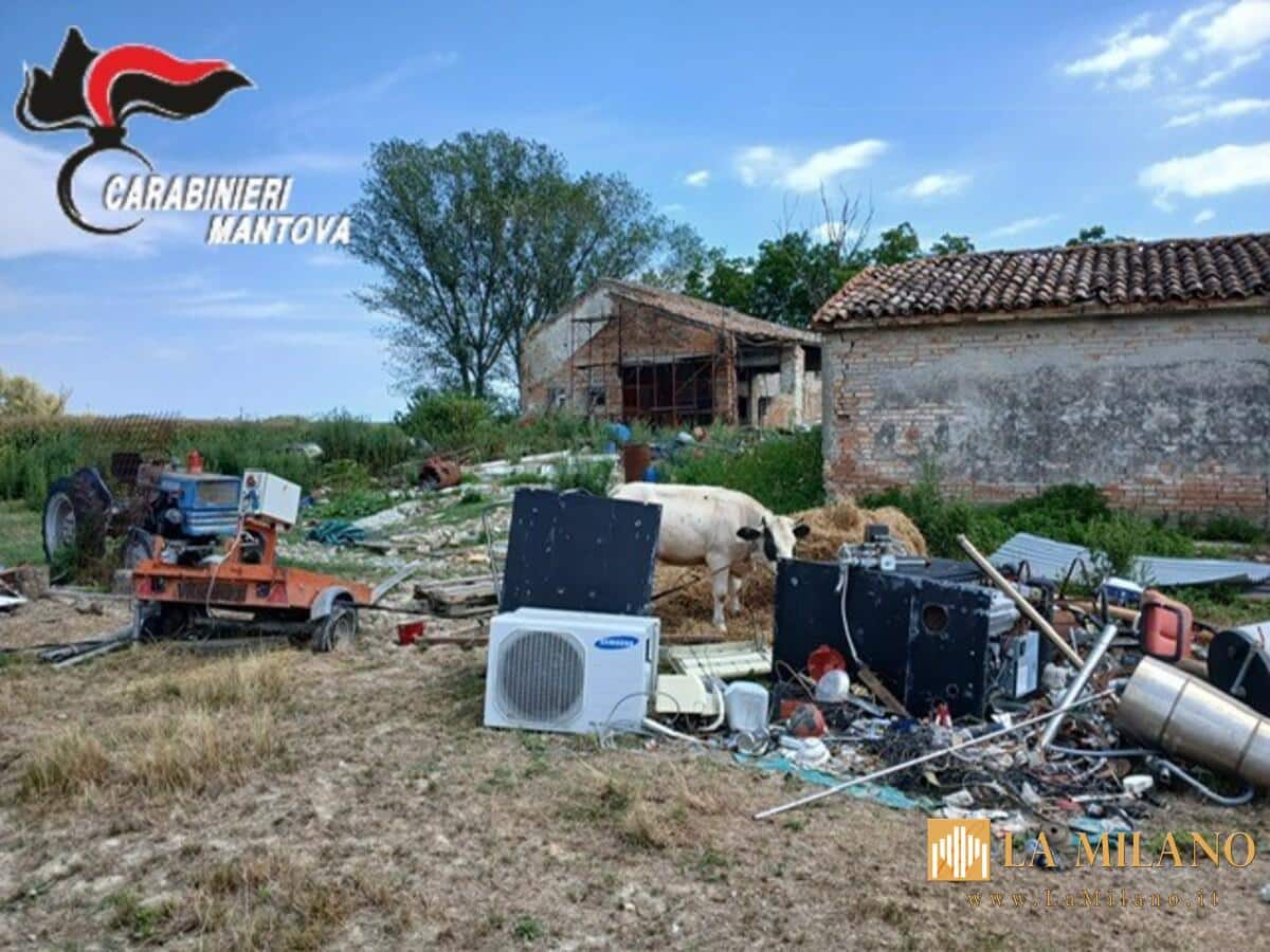 Ostiglia, deposito di rifiuti speciali e maltrattamento di un bovino: Denunciato 20enne