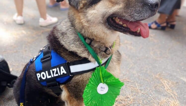 Rex, il cane salvato dalla Polizia, premiato al “Premio Internazionale Fedeltà del Cane”