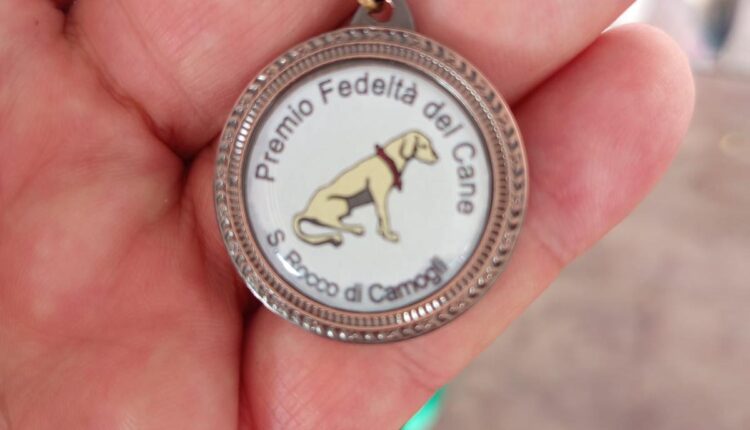 Rex, il cane salvato dalla Polizia, premiato al “Premio Internazionale Fedeltà del Cane”