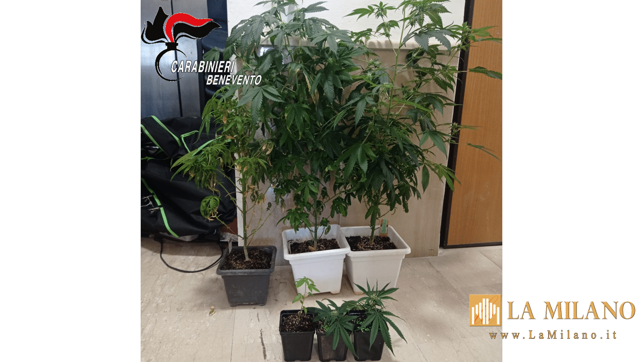 Benevento, aggredisce fisicamente moglie e figli: arrestato 54enne