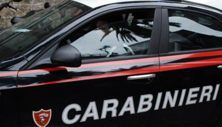 Cane abbandonato e maltrattamenti: denunce a Sant’Anastasia e Brusciano