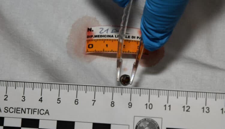 Novara: arrestato il presunto omicida di Kamal in via Pietro Micca