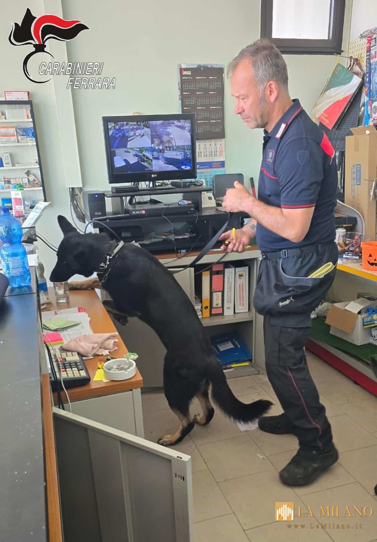 Migliarino: Carabinieri arrestano 52enne per droga, sequestrati 300 grammi di cocaina e 6.000 euro