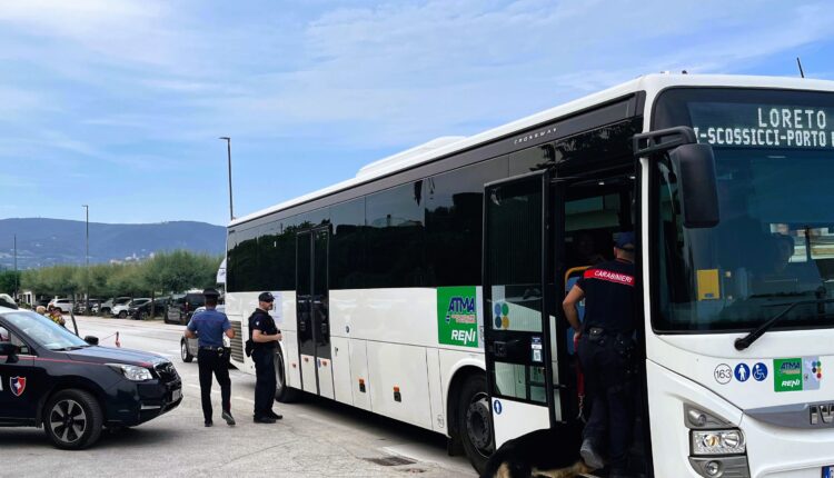 Numana, 30enne denunciato per furto: rubato e recuperato lo zaino di un autista di bus