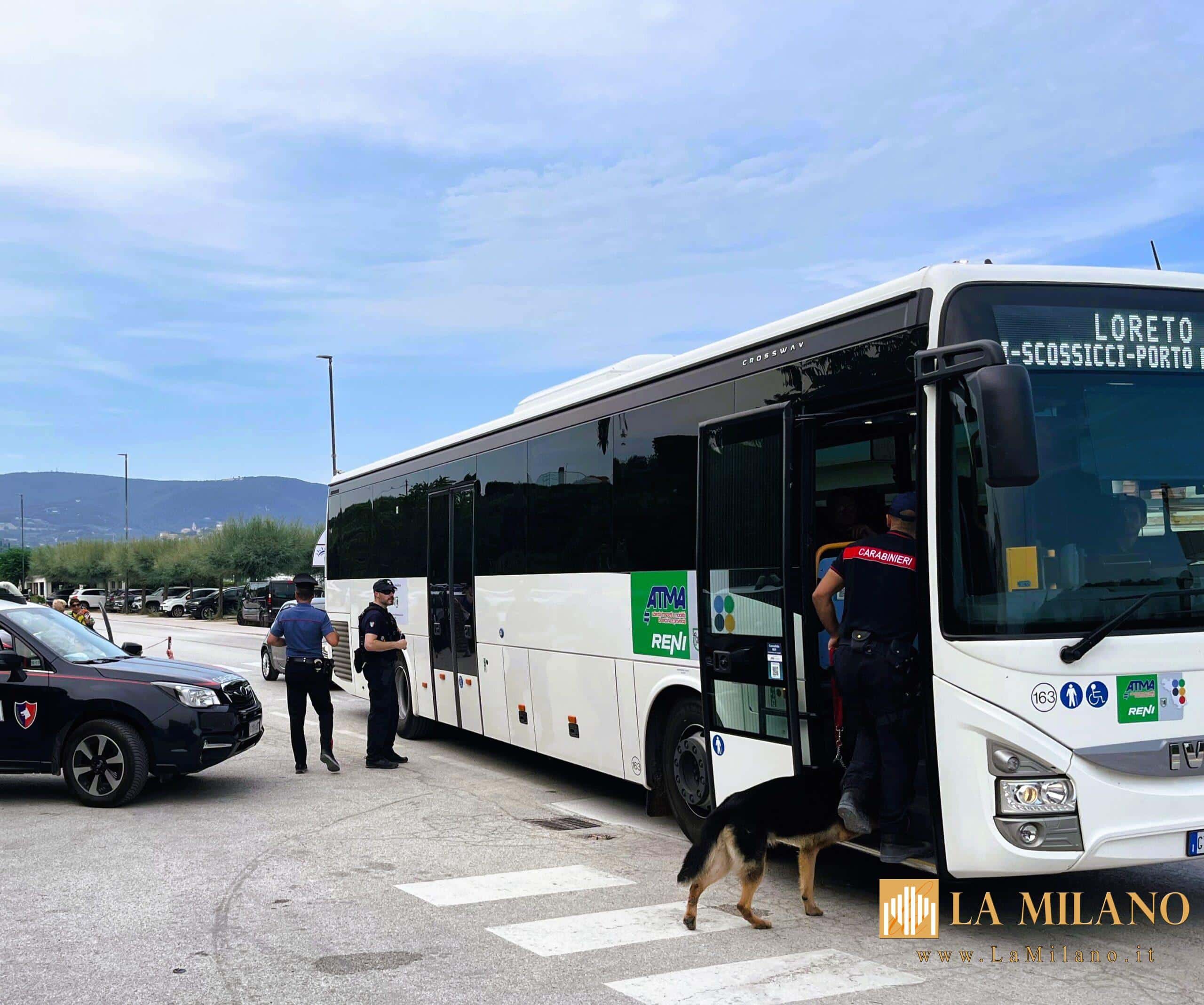 Numana, 30enne denunciato per furto: rubato e recuperato lo zaino di un autista di bus