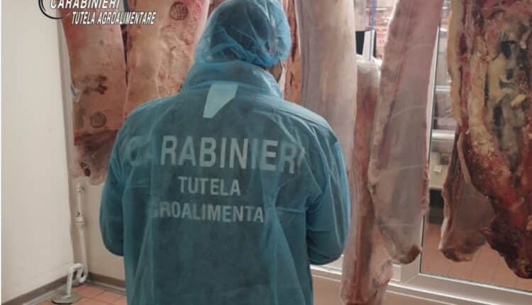 Roma e Frosinone: scoperta frode su abbacchio italiano, sequestrati 2.000 kg di carne