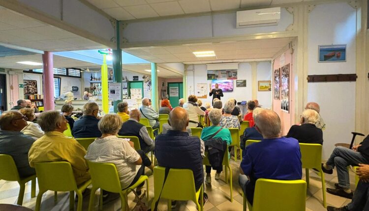 Ancona, boom di truffe online: 7 denunciati dai Carabinieri per raggiri via web